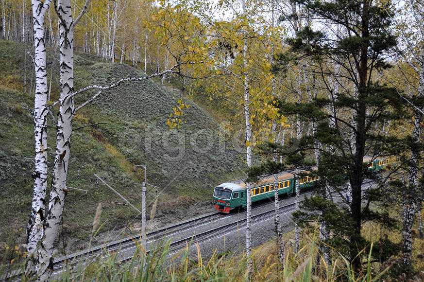 Электричка едет через осенний лес 
