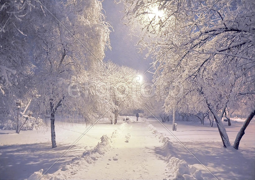 Ранним утром после снегопада