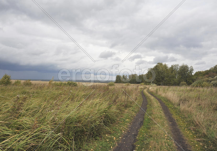 Дорога,уходящая в даль