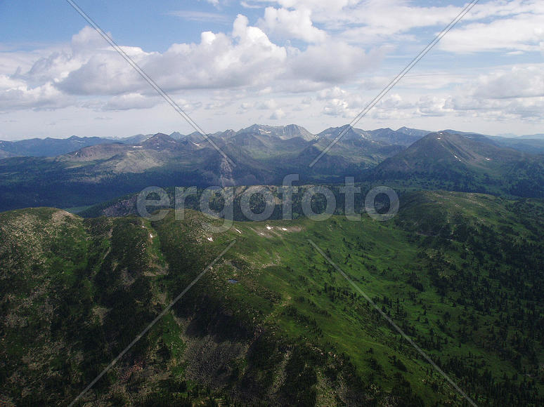 Саянские белки