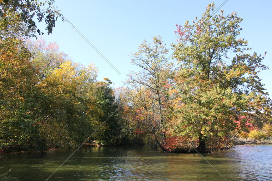 Осень в Бруклине