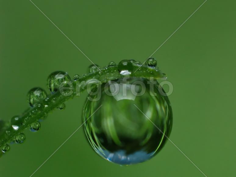 Макрофотография капли воды на травинке