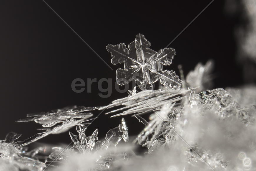 Макрофотография снега