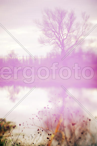 Нежность осени