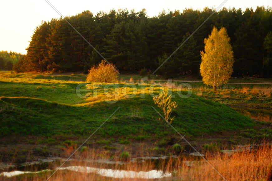 Майский закат на природе 