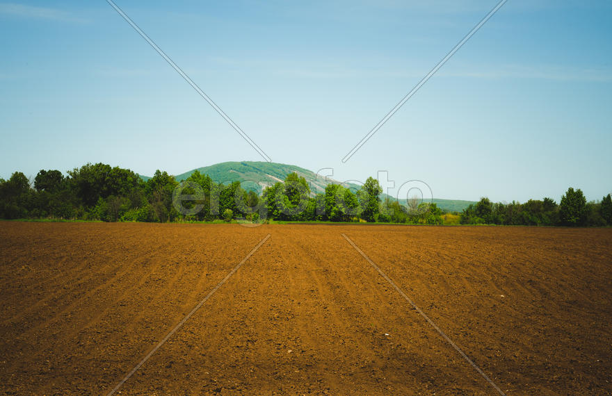 Пашня коричневого цвета