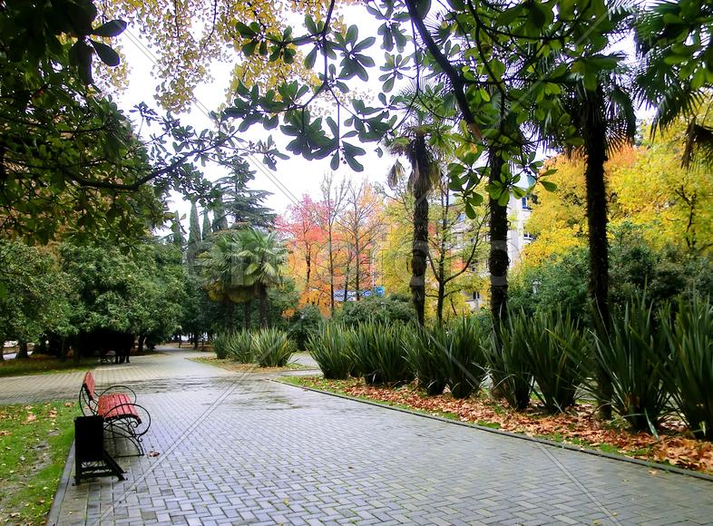 Осеннее настроение