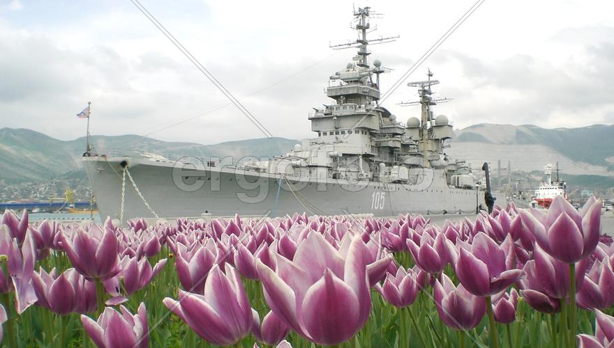 Большому кораблю - большое плавание