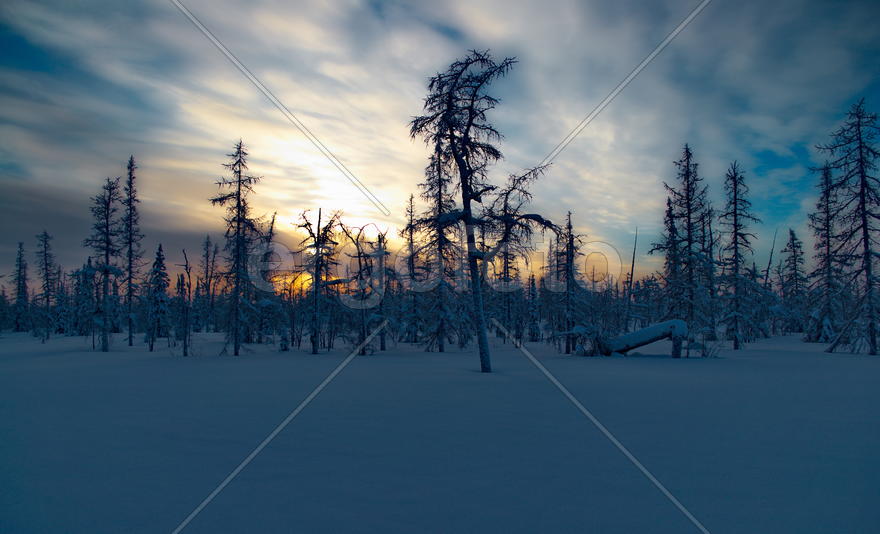 Закат над заснеженным полем 