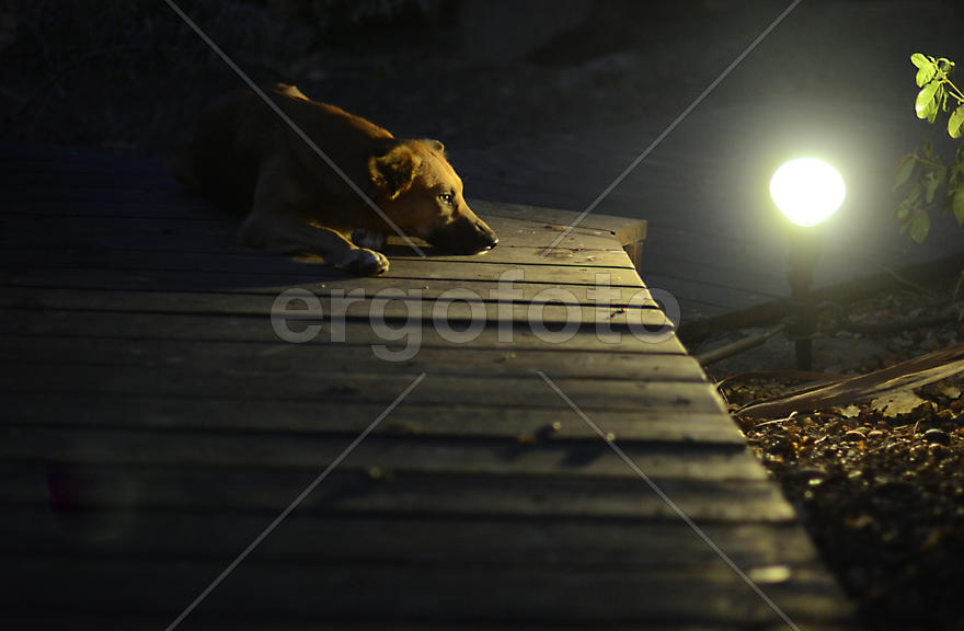 Одиночество