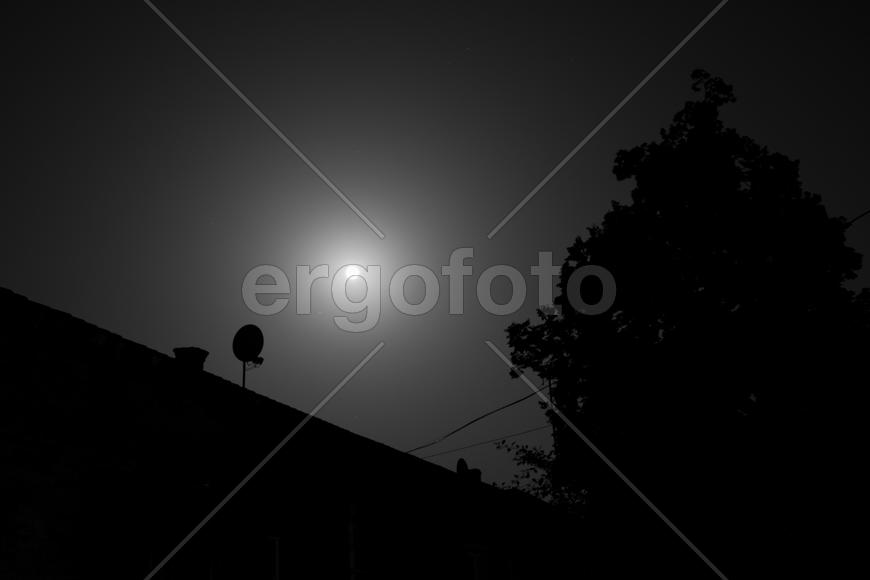 Лунная ночь