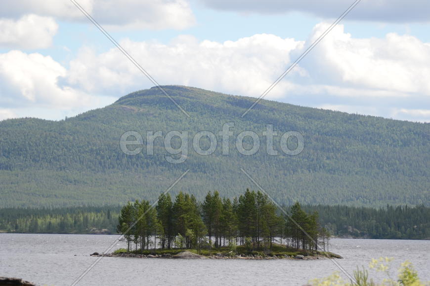 Островок суши с редевшими в горном озере 