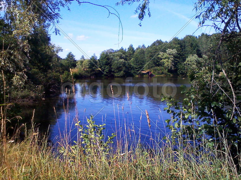 Лесное озеро