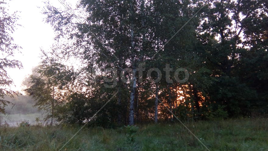 Рассвет над рекой Нёман, Беларусь