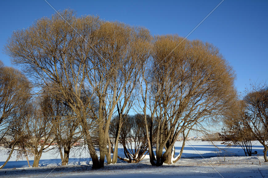 Пейзажи снежной Уральский зимы 
