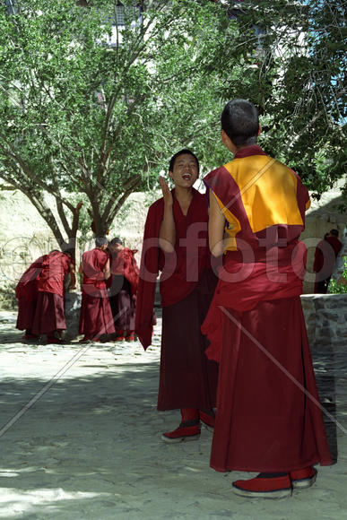 Философский диспут