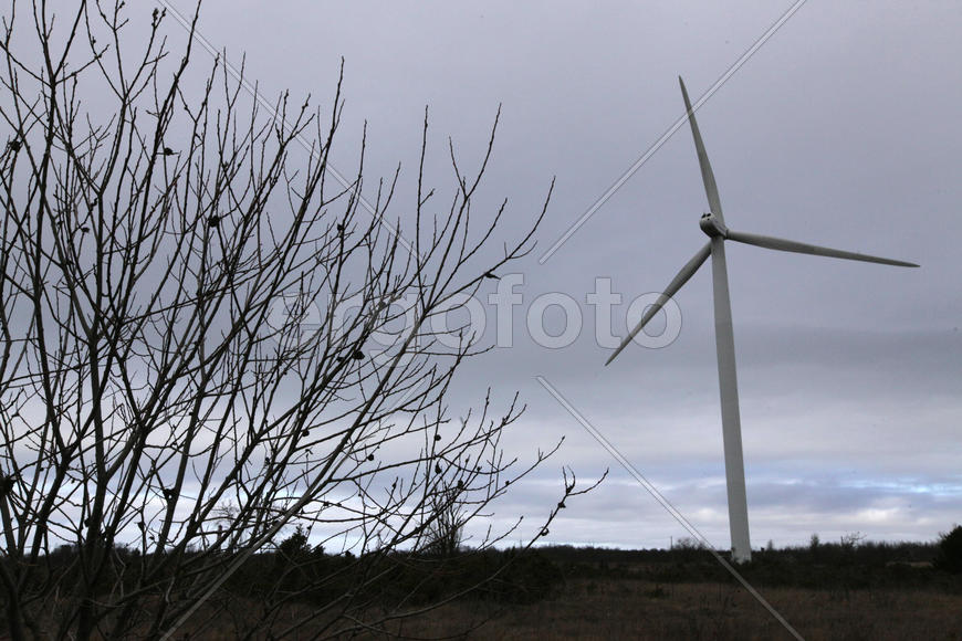 Ветреная мельница