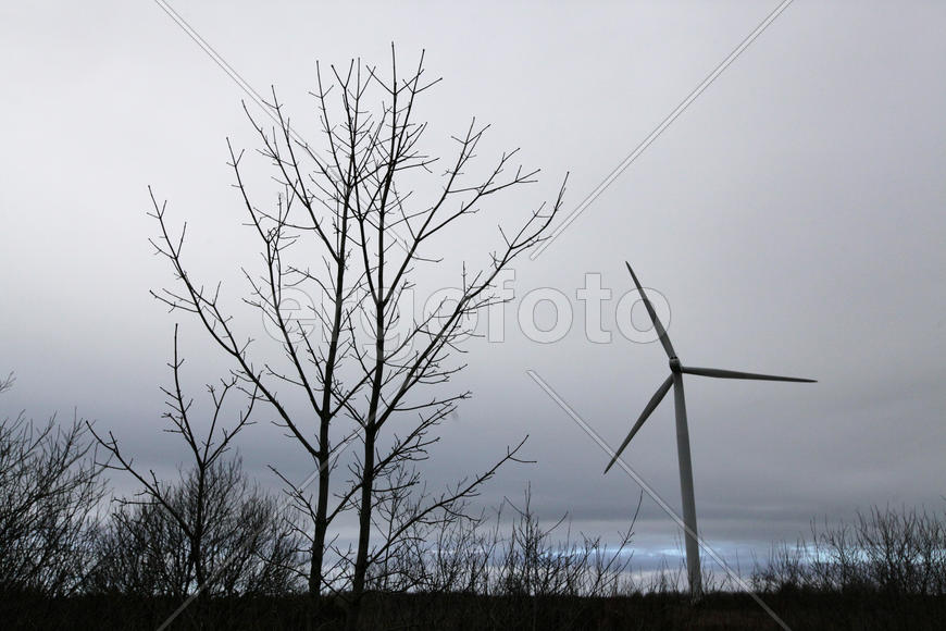 Ветреная мельница