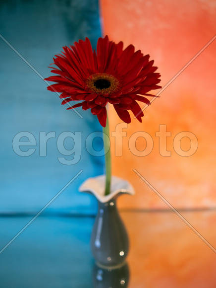 Цветок в серой вазе 