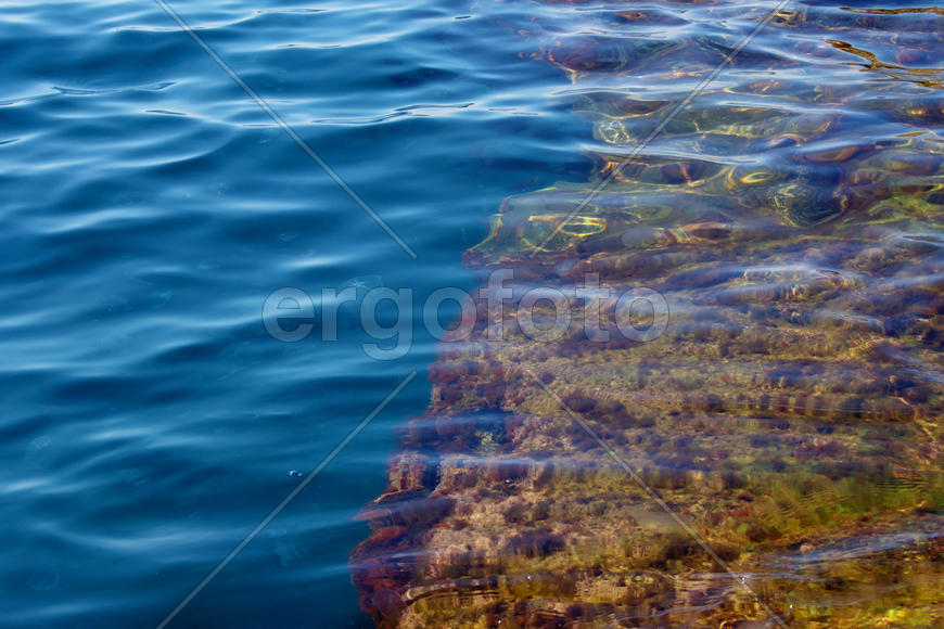 Водно-донная структура