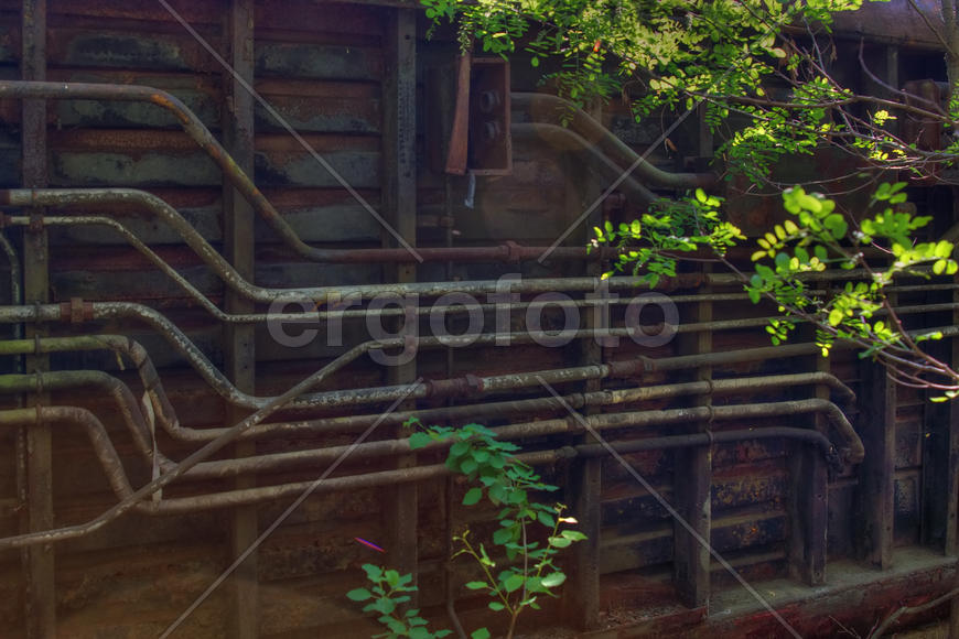 Вагон в лесу