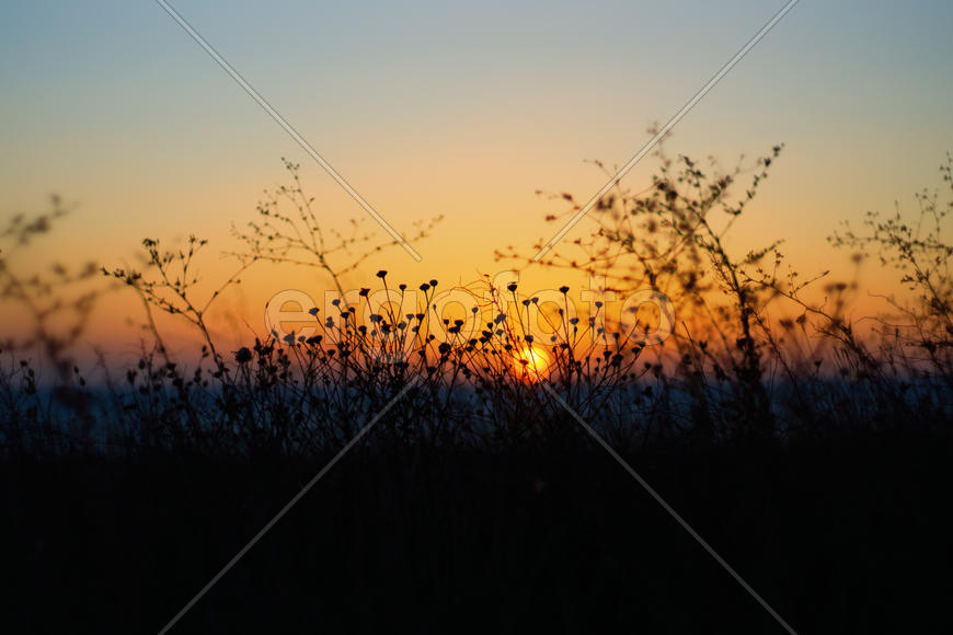 Западный берег. Закат