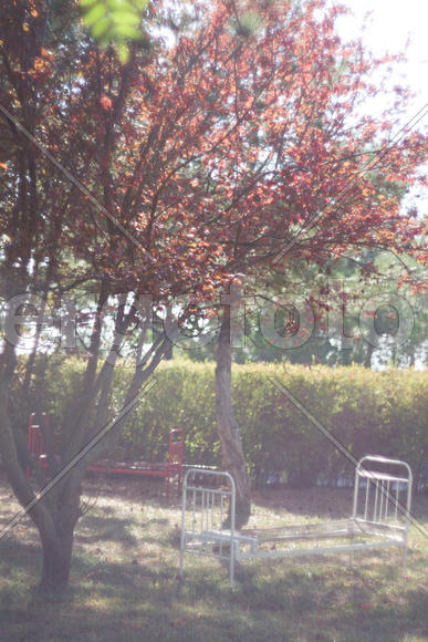 Кровать в саду