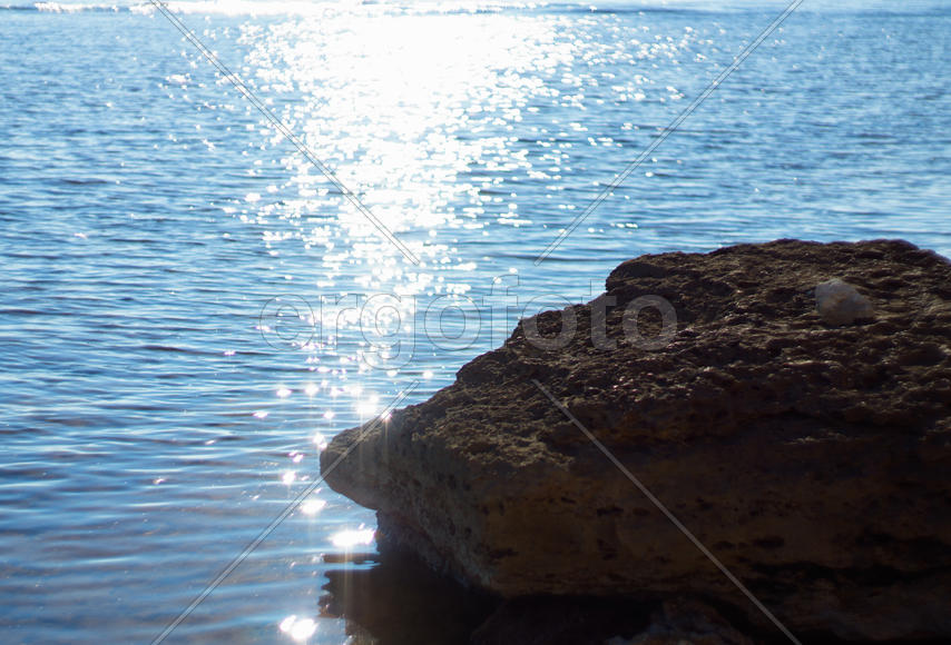 Солнечная тропа