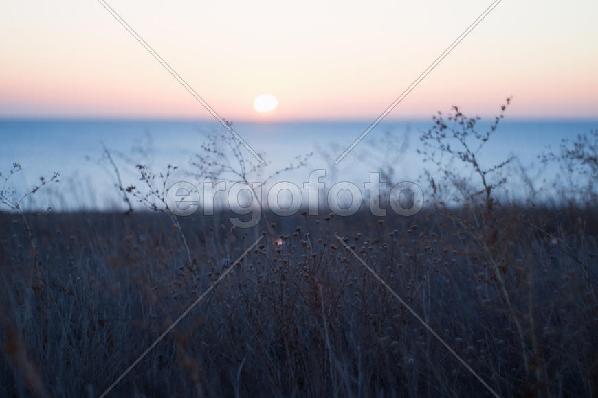 Розовый закат