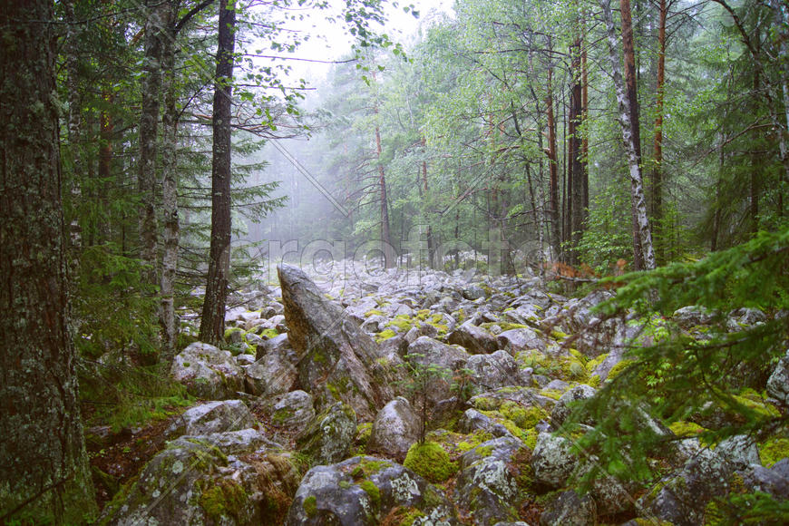 Туман в Таганае