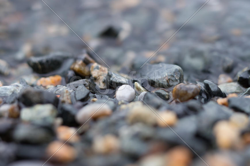 Камешки на берегу