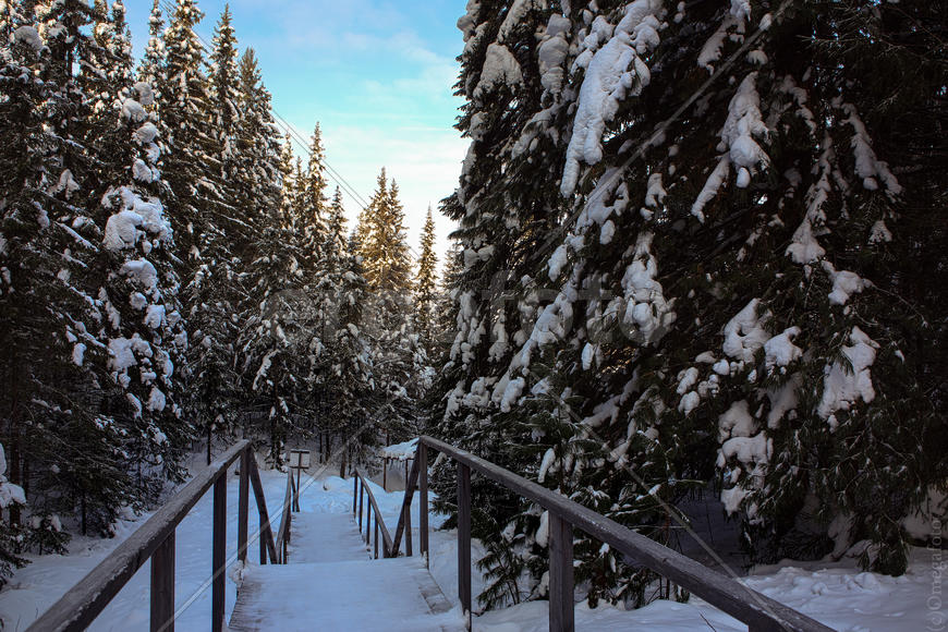 Лестница в зиму