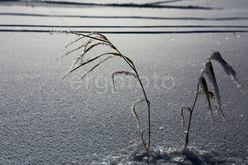 Зимний колосс