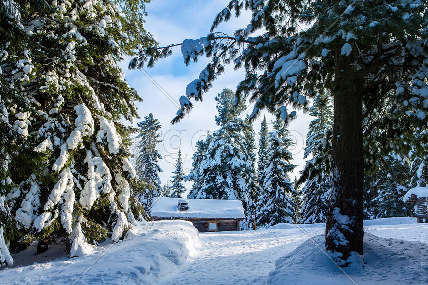 Зимняя сказка