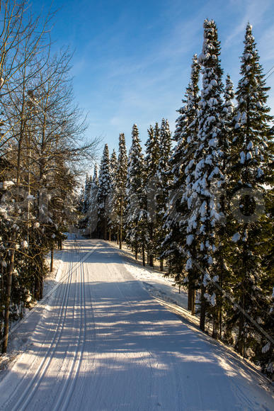 Трасса для биатлона