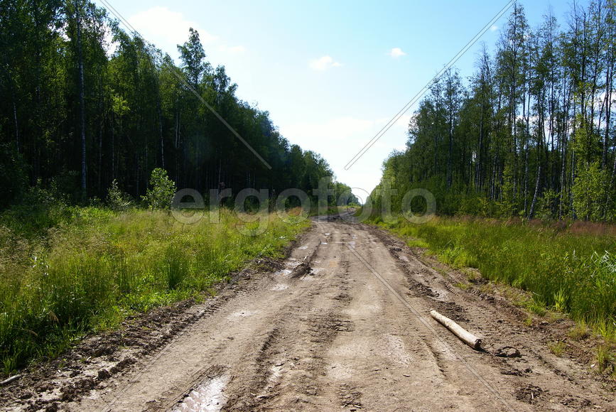 Ленинградская область.