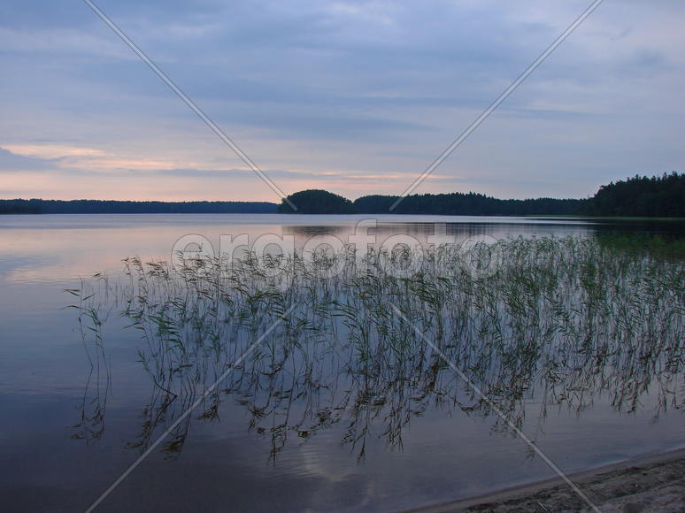 Лесное озеро