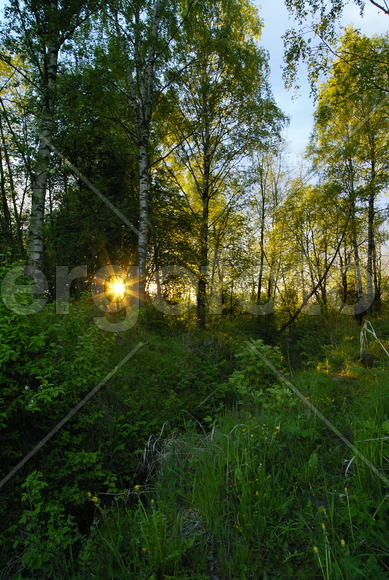 Ленинградская область.