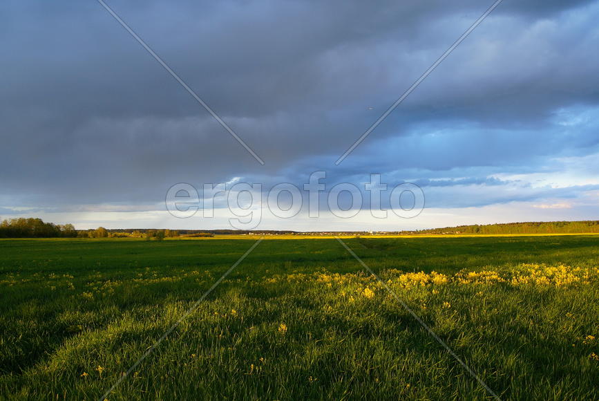 Ленинградская область.