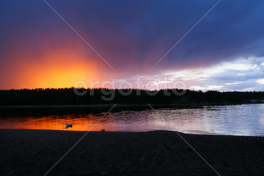 Ленинградская область.