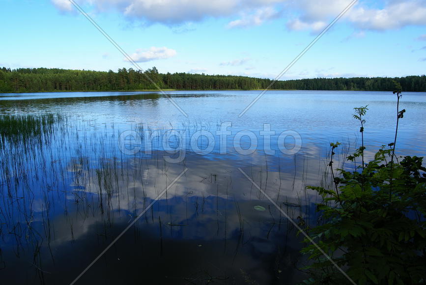Ленинградская область.