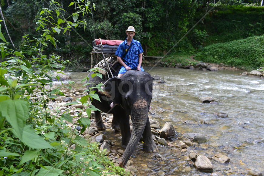 Тайланд. Провинция. Пханг Нга. Катаниие на слонах