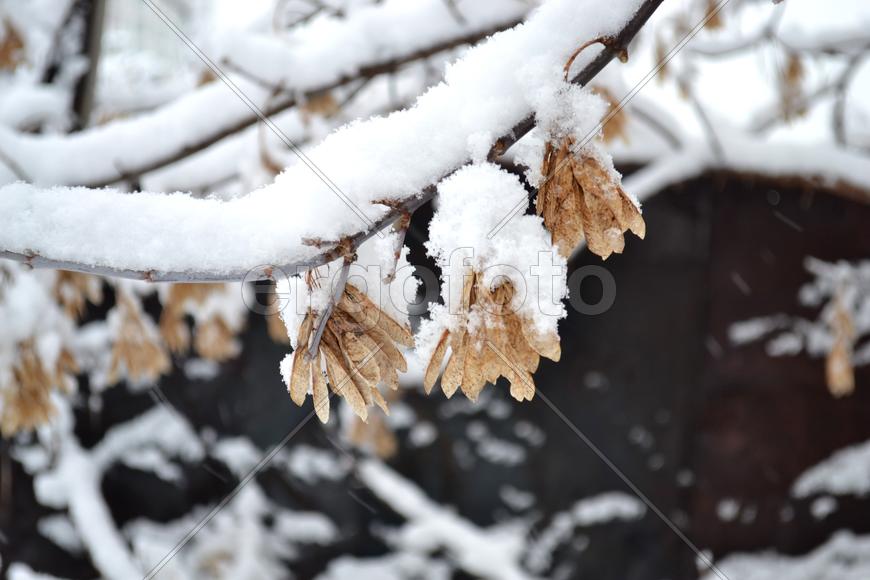 Такая вот весна в Перми
