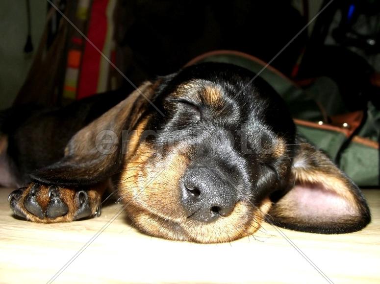 Малышка Вальди)