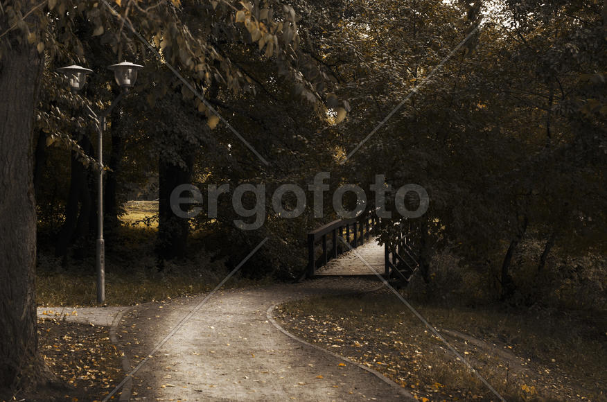 Осенний мост