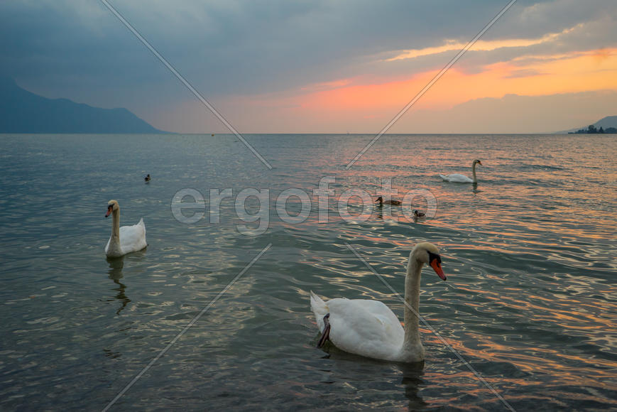 Вечер на Женевском озере