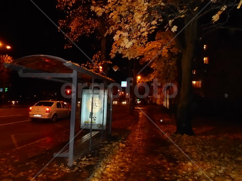 город. осень