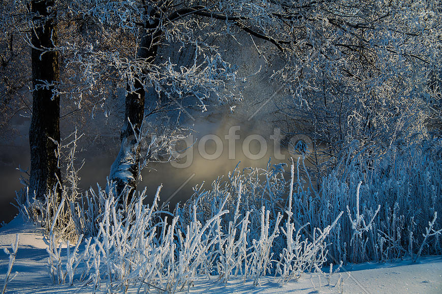 Зимняя зарисовка IV