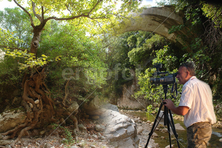 Оператор в лесу