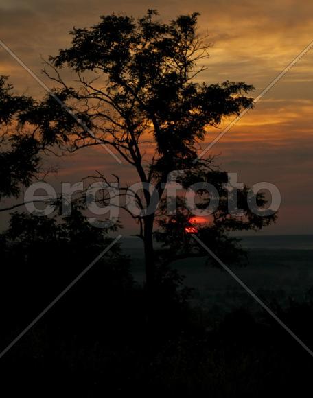 Пейзаж на закате.